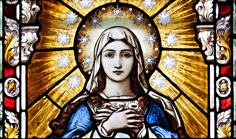 Image result for immaculate conception