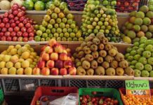 Off-Beat Tours Medellin’s Exotic Fruits Tour