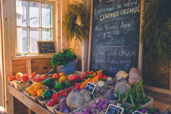 Laureles’ Top Organic Grocery Stores