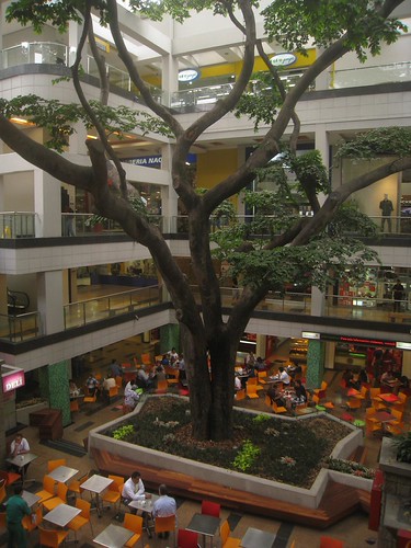 Food Court at Oviedo Mall Food Court at Oviedo Mall