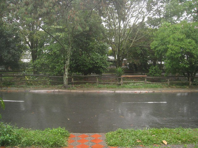 View from the doorstep