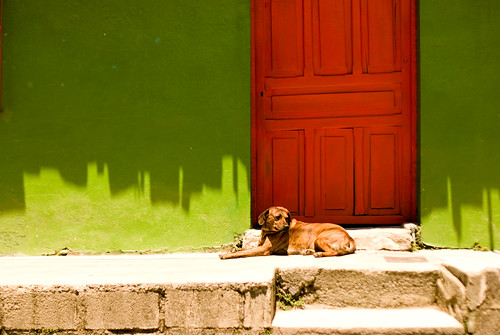 One of Sarahs colorful photos