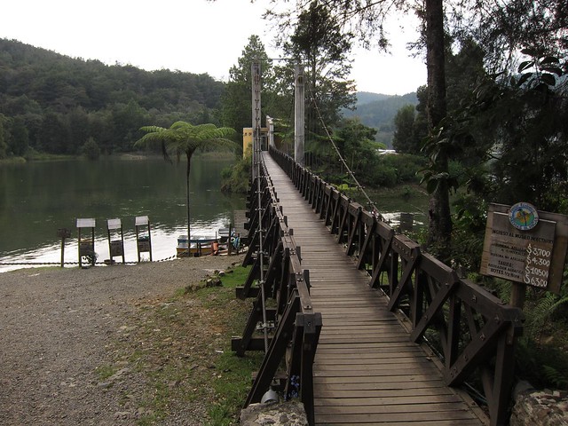 Bridge to the Insect Museum