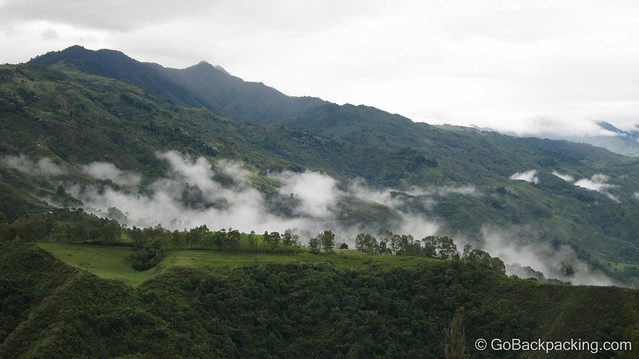 The coffee region The coffee region