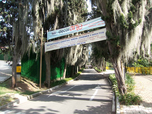 Access road to the castle