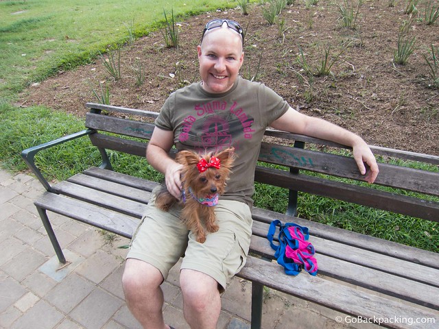 Dog lovers from all around the city visit the park every weekend