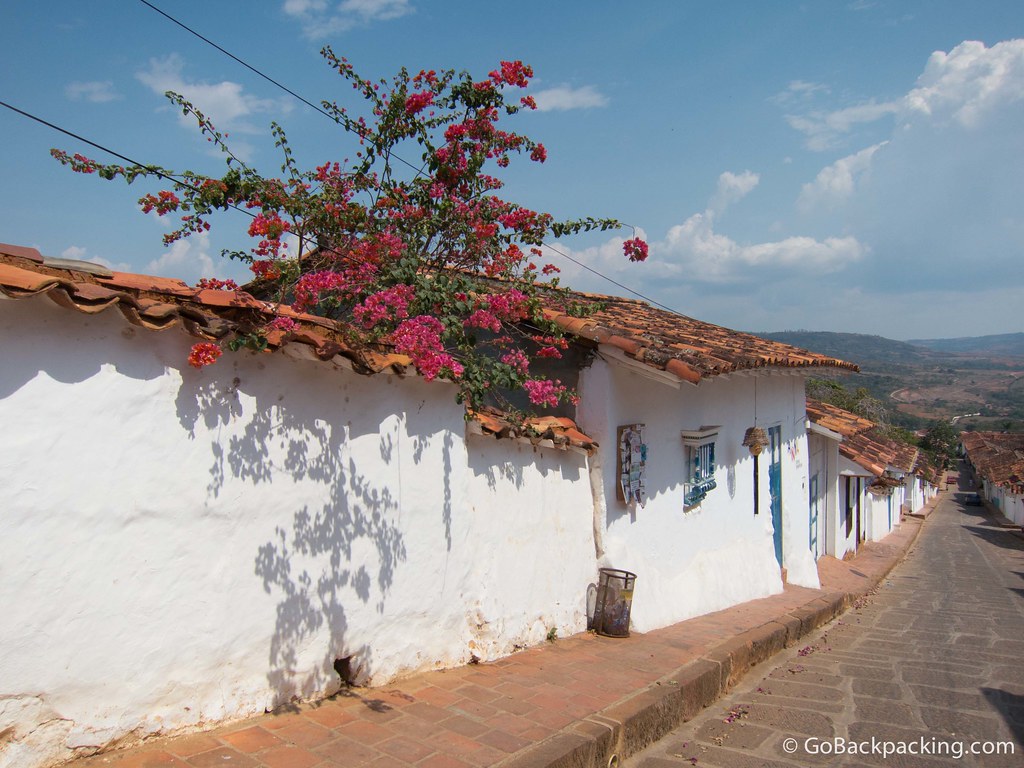 Beautiful flowers erupt over a wall