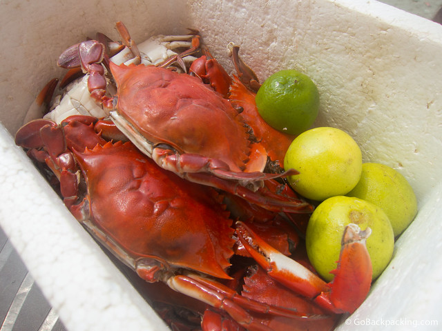 Fresh crab Fresh crab for sale on the beach