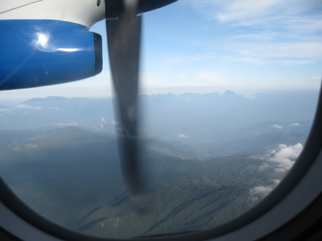Some small airlines use propeller planes, which can fly closer to the mountains and offer great views.