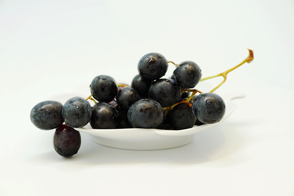 Grape, Fruit, Table Grapes, Fruits, Blue, Healthy, Food