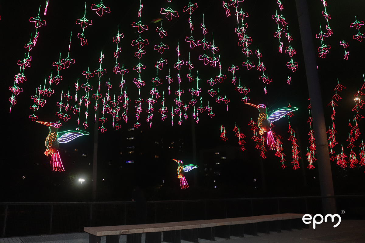 Christmas light hummingbird figures during Alumbrados EPM in Medellín